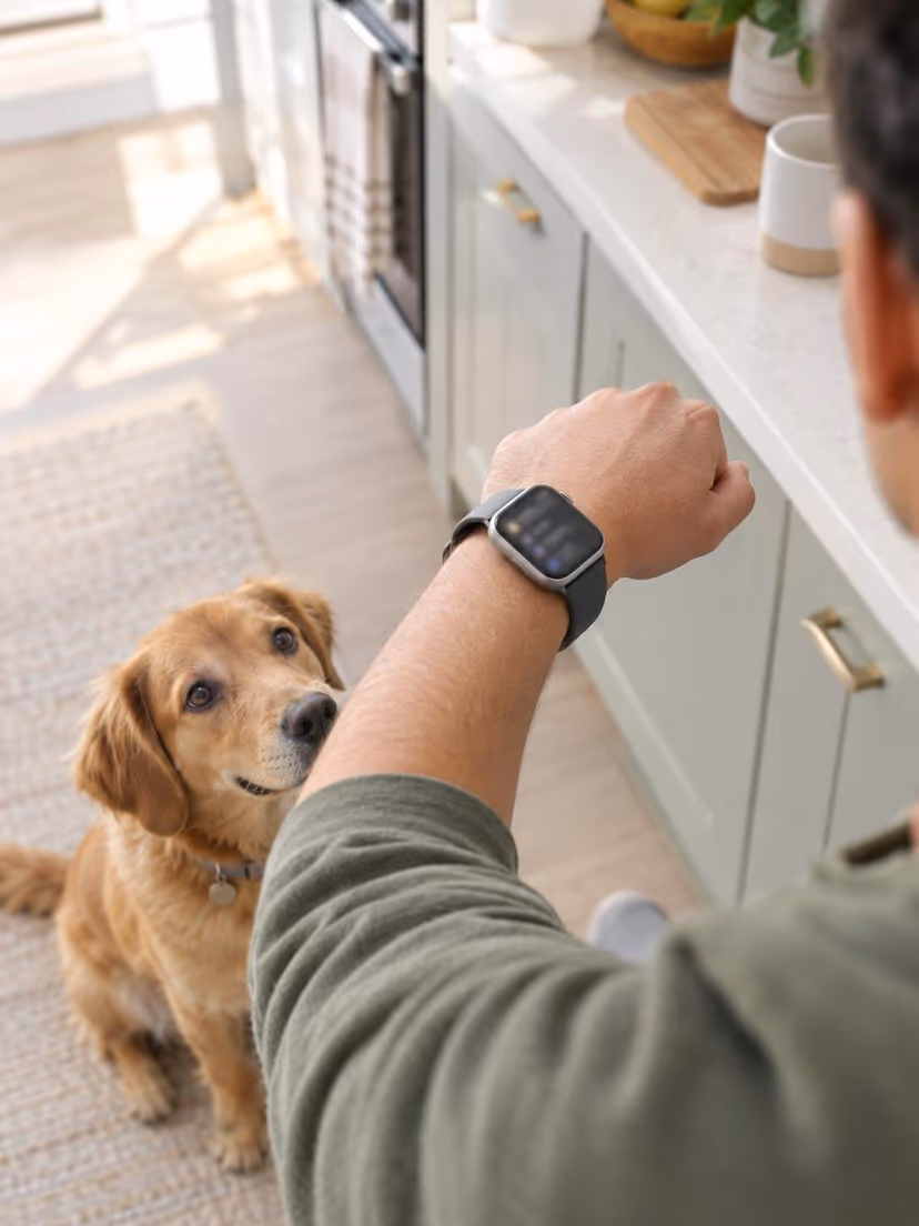 A wrist turned up to check today's list on a watch, a dog waiting at the owner's feet