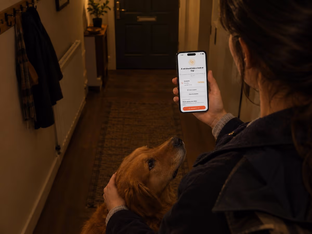 An owner in a hallway at night holding a phone that reads “A vet should take a look”